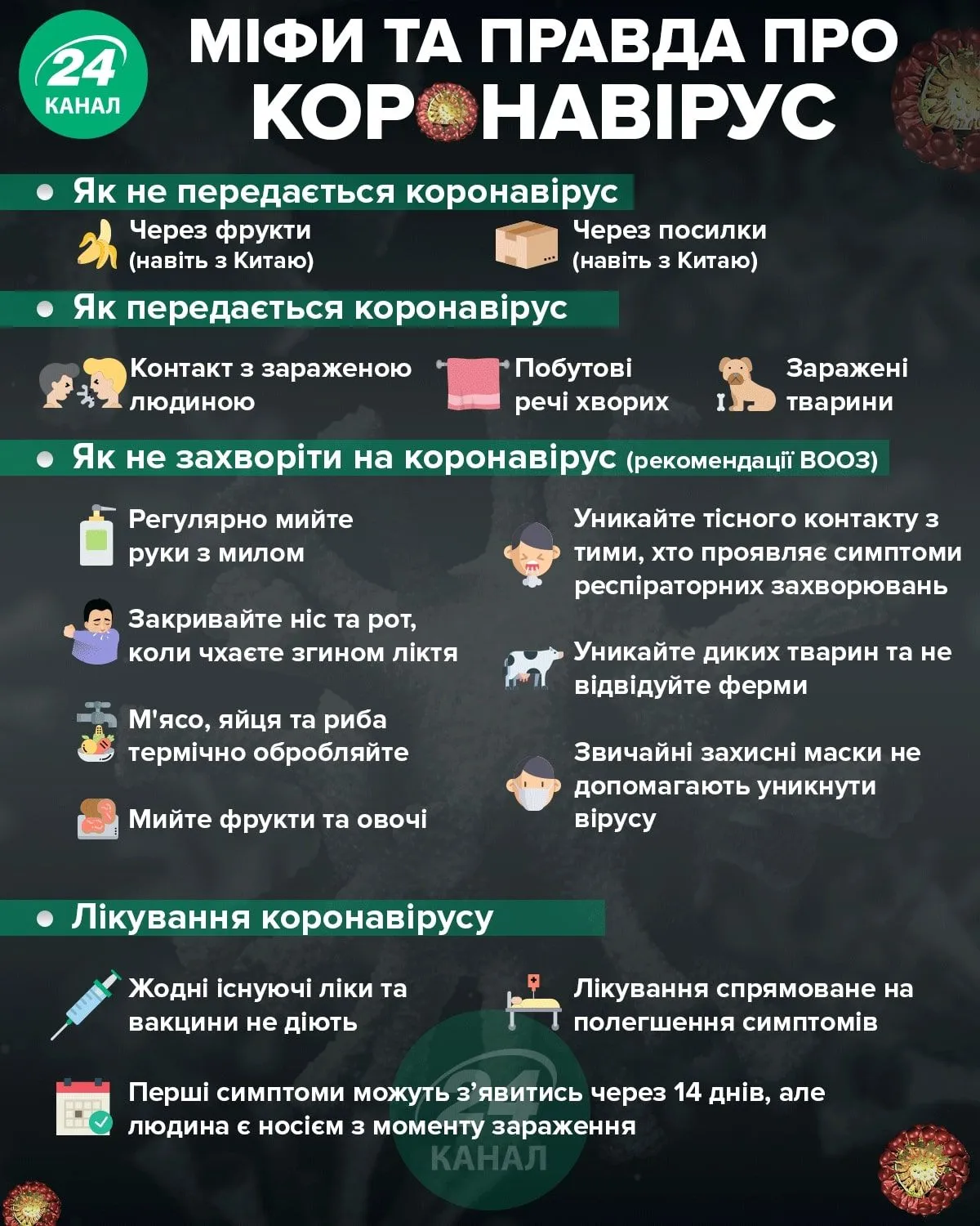 Коронавірус Коронавірус