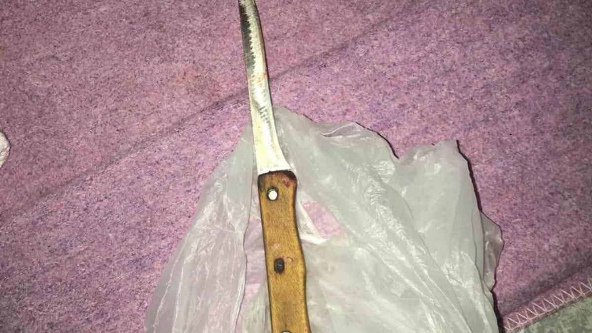 7-летняя девочка защищала мать и ударил бабушку ножом 7-летняя девочка защищала мать и ударил бабушку ножом