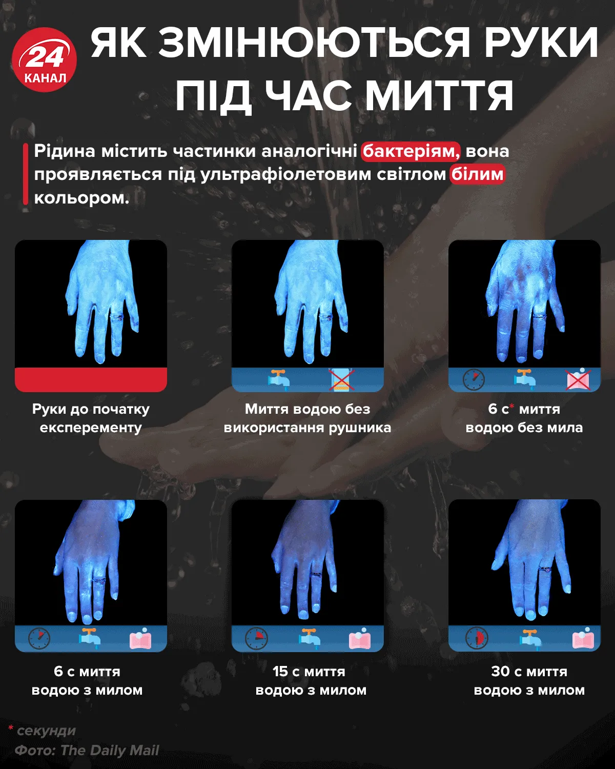 Как меняются руки во время мытья / Инфографика 24 канала