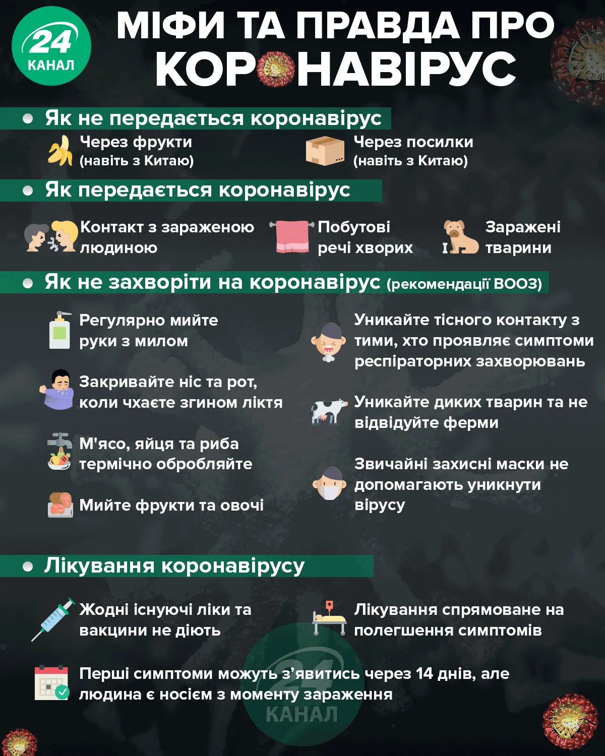 коронавірус коронавірус