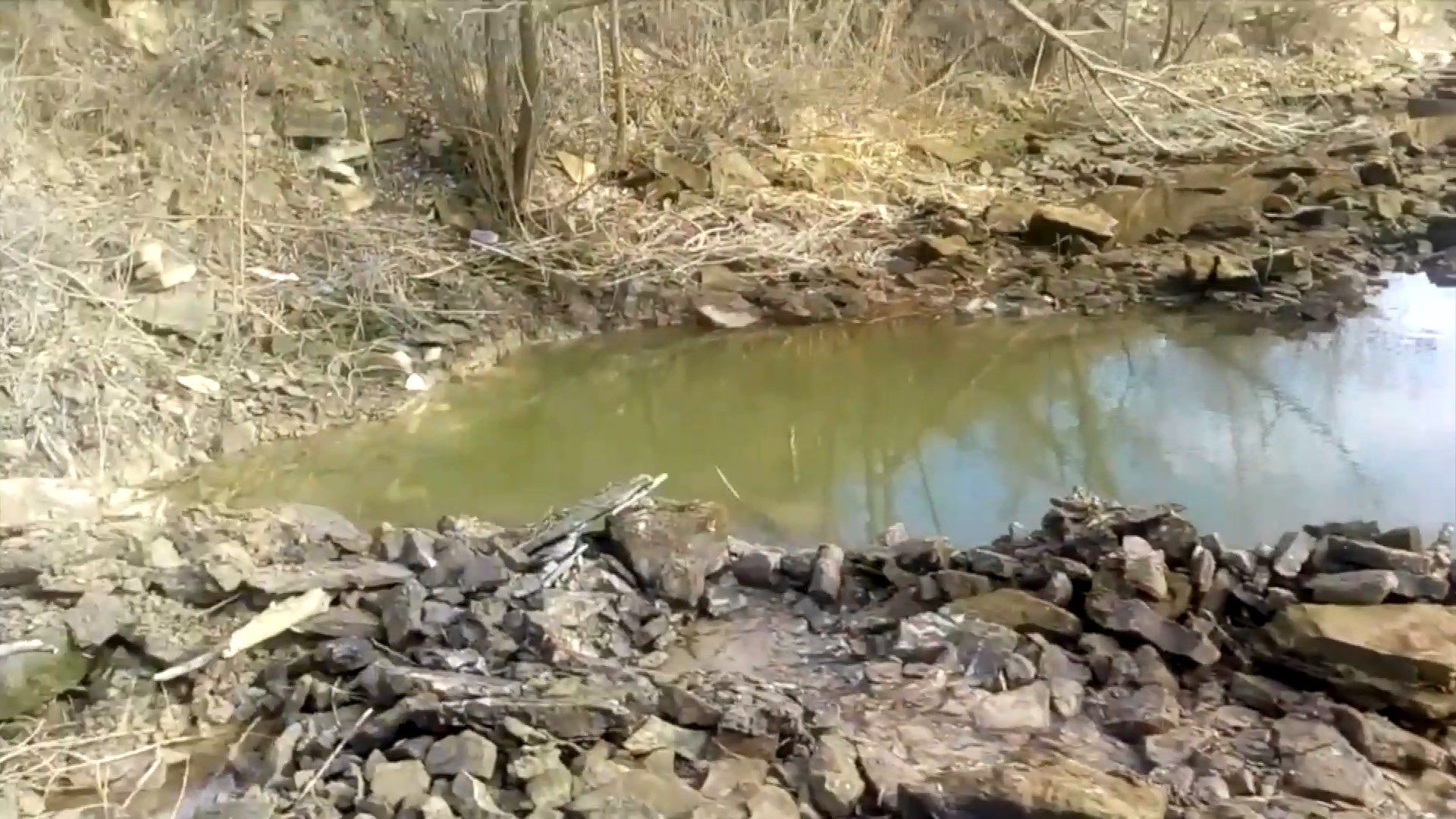 Екологічна катастрофа на Тернопільщині: бізнесмени хочуть знищити річку Збруч