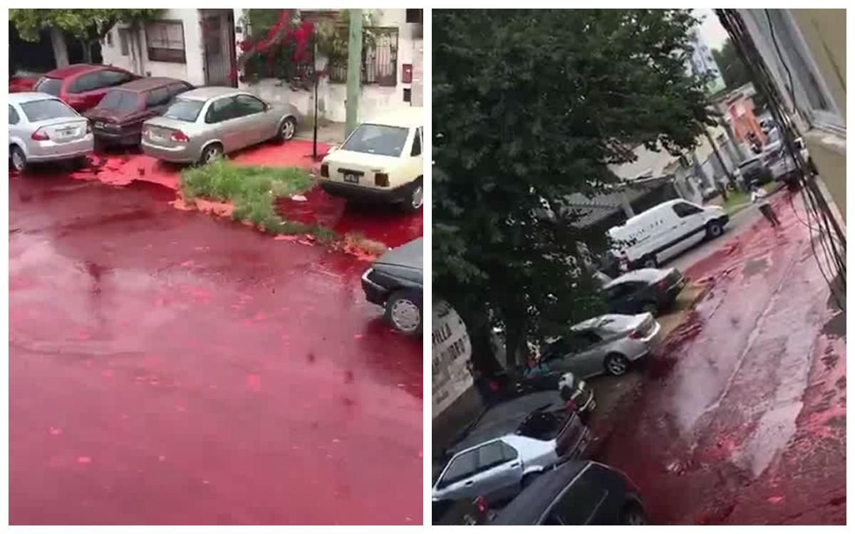 Реки крови залили жилой квартал в Аргентине: видео +18 Реки крови залили жилой квартал в Аргентине: видео +18