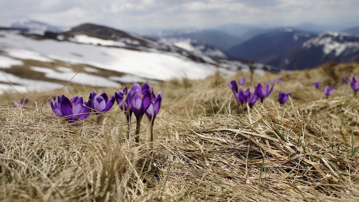 Погода 15 березня 2020 Україна – що обіцяють синоптики