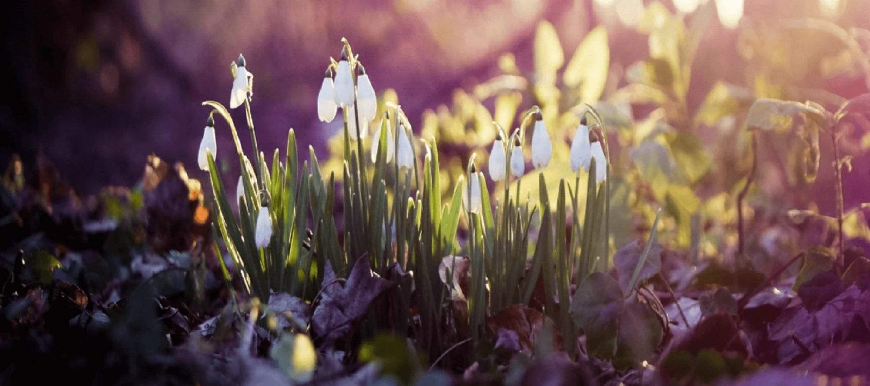 Погода 17 марта 2020 Украина – что обещают синоптики Погода 17 марта 2020 Украина – что обещают синоптики