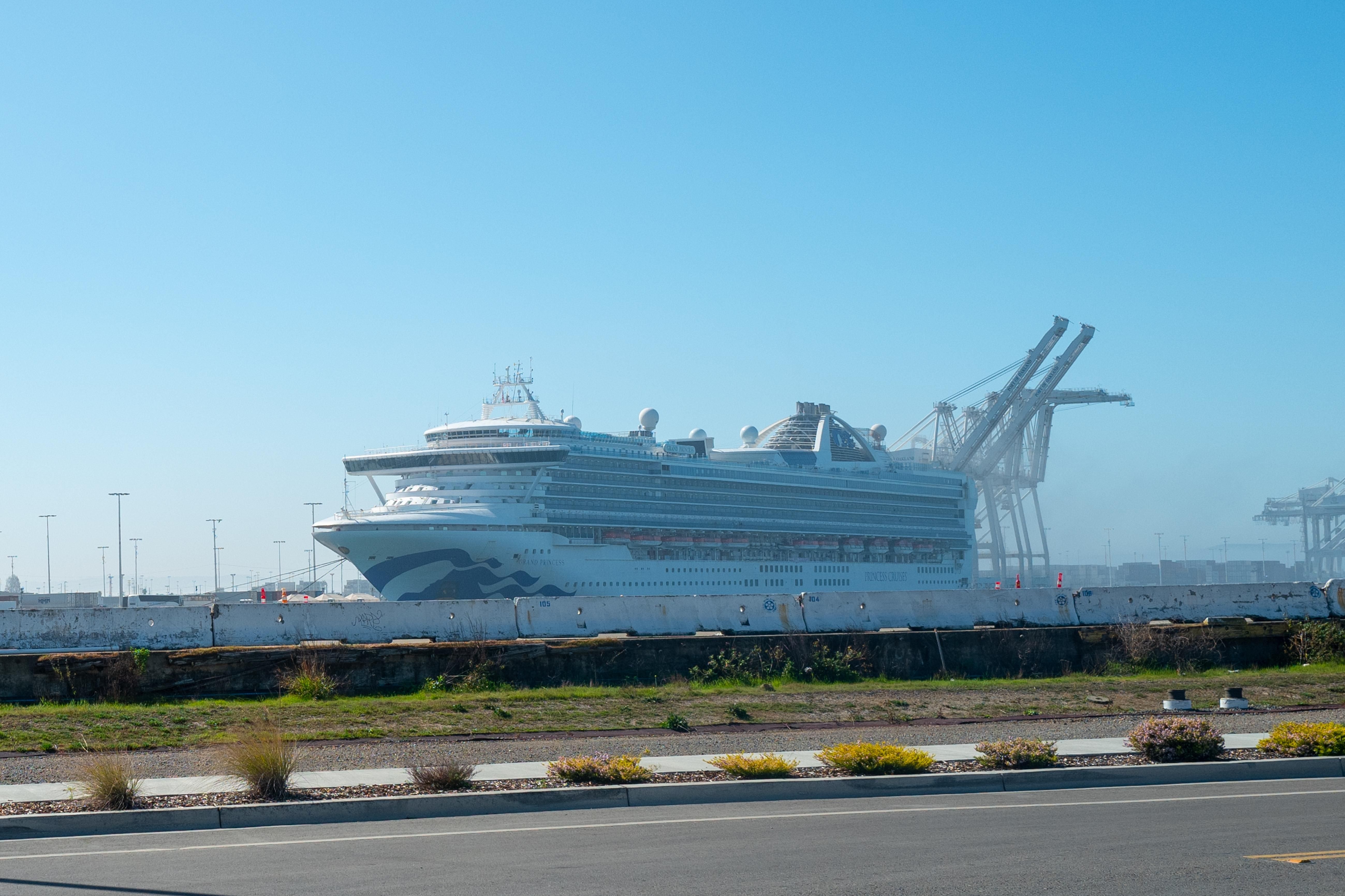 Украинцы с круизного лайнера Grand Princess, на котором обнаружили коронавирус, вернулись в Киев