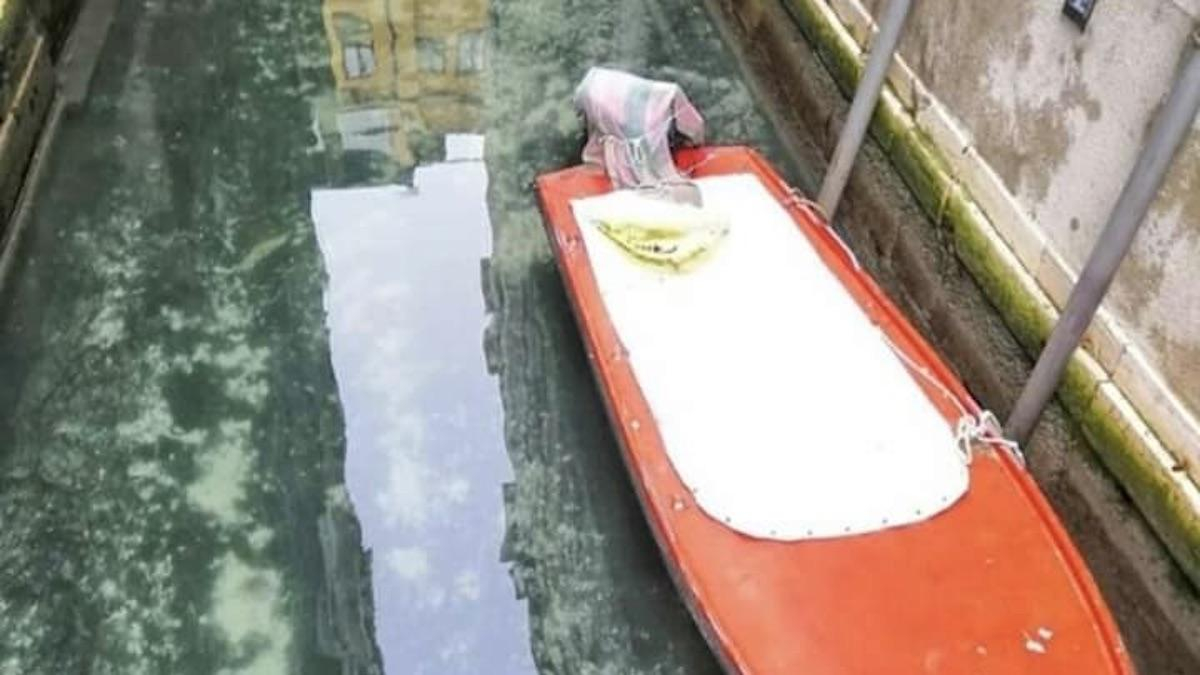 У Венеції безлюдні канали стали чистими: фото, відео