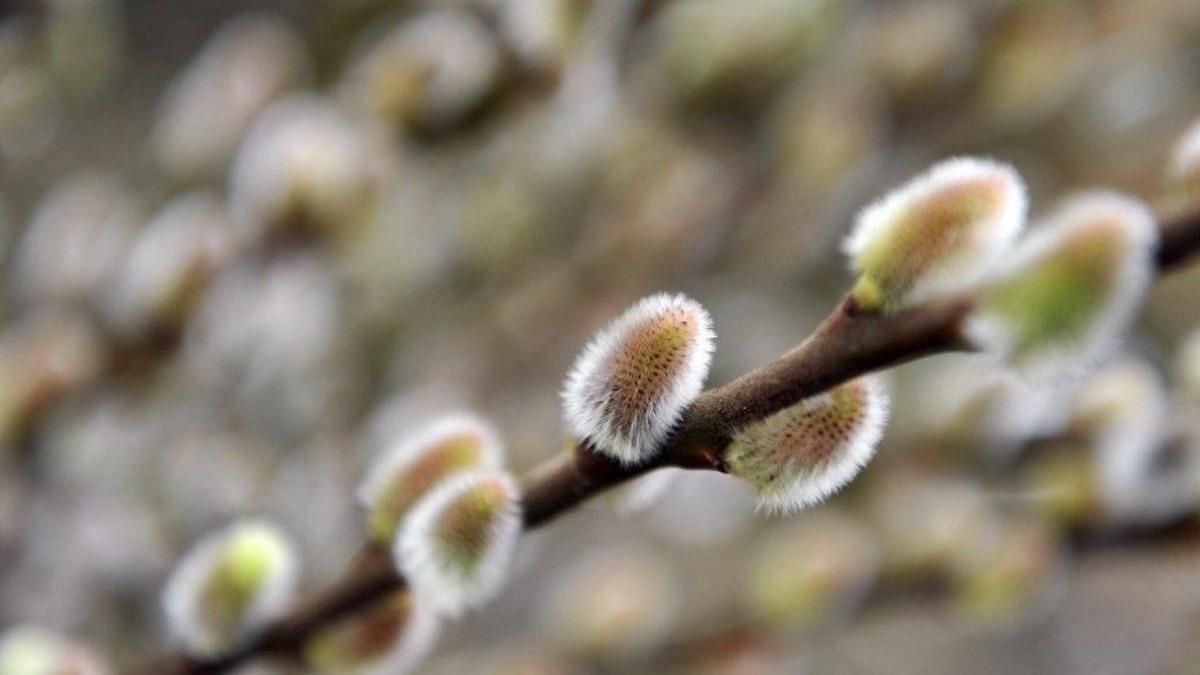 Погода 18 березня 2020 Україна – що обіцяють синоптики Погода 18 березня 2020 Україна – що обіцяють синоптики