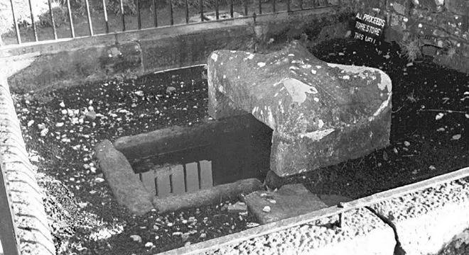 чума іем чума іем