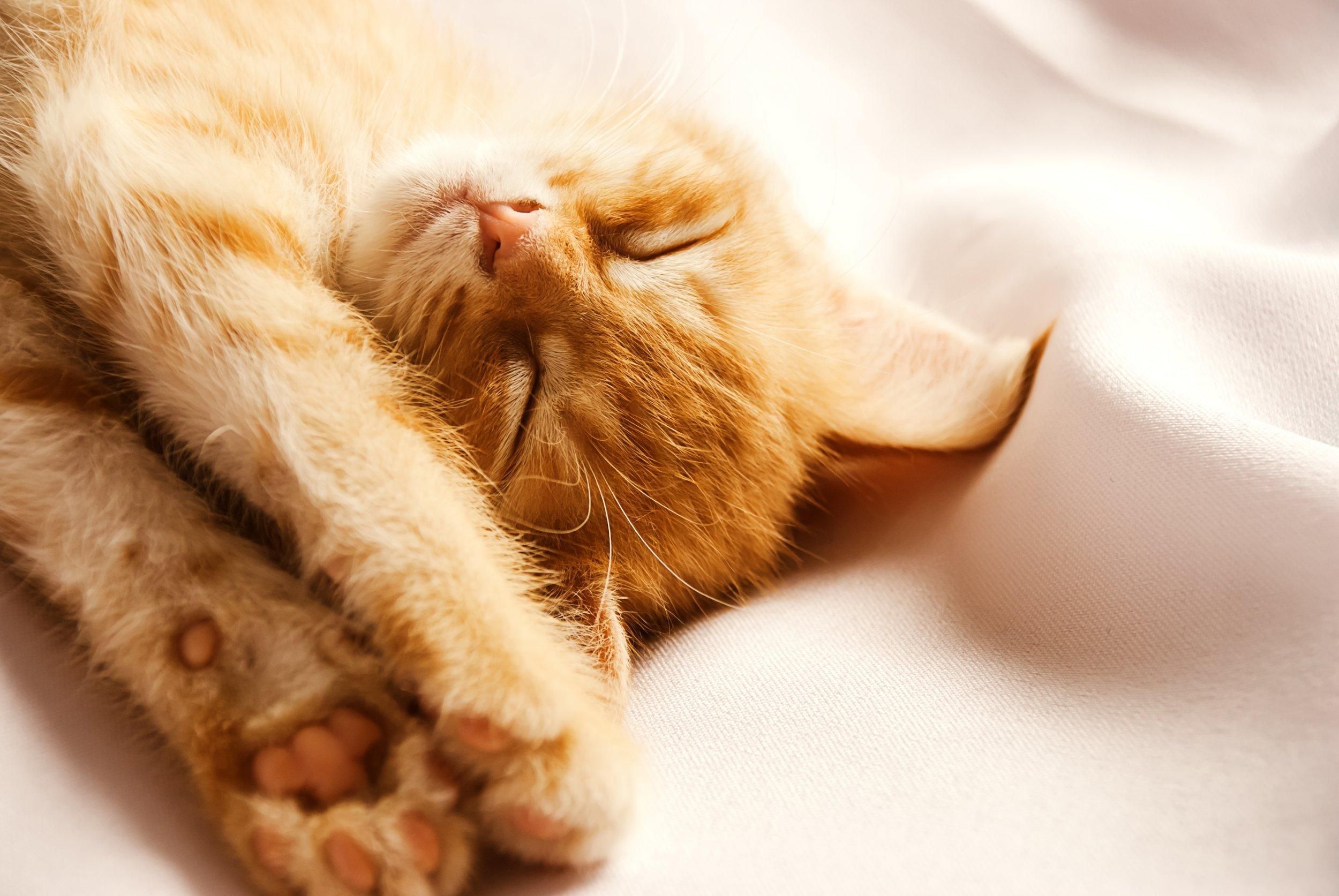 Погода 19 березня 2020 Україна – що обіцяють синоптики Погода 19 березня 2020 Україна – що обіцяють синоптики