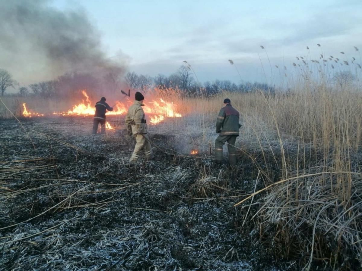 На Днепропетровщине женщина сожгла 2 гектара земли, когда убирала на кладбище