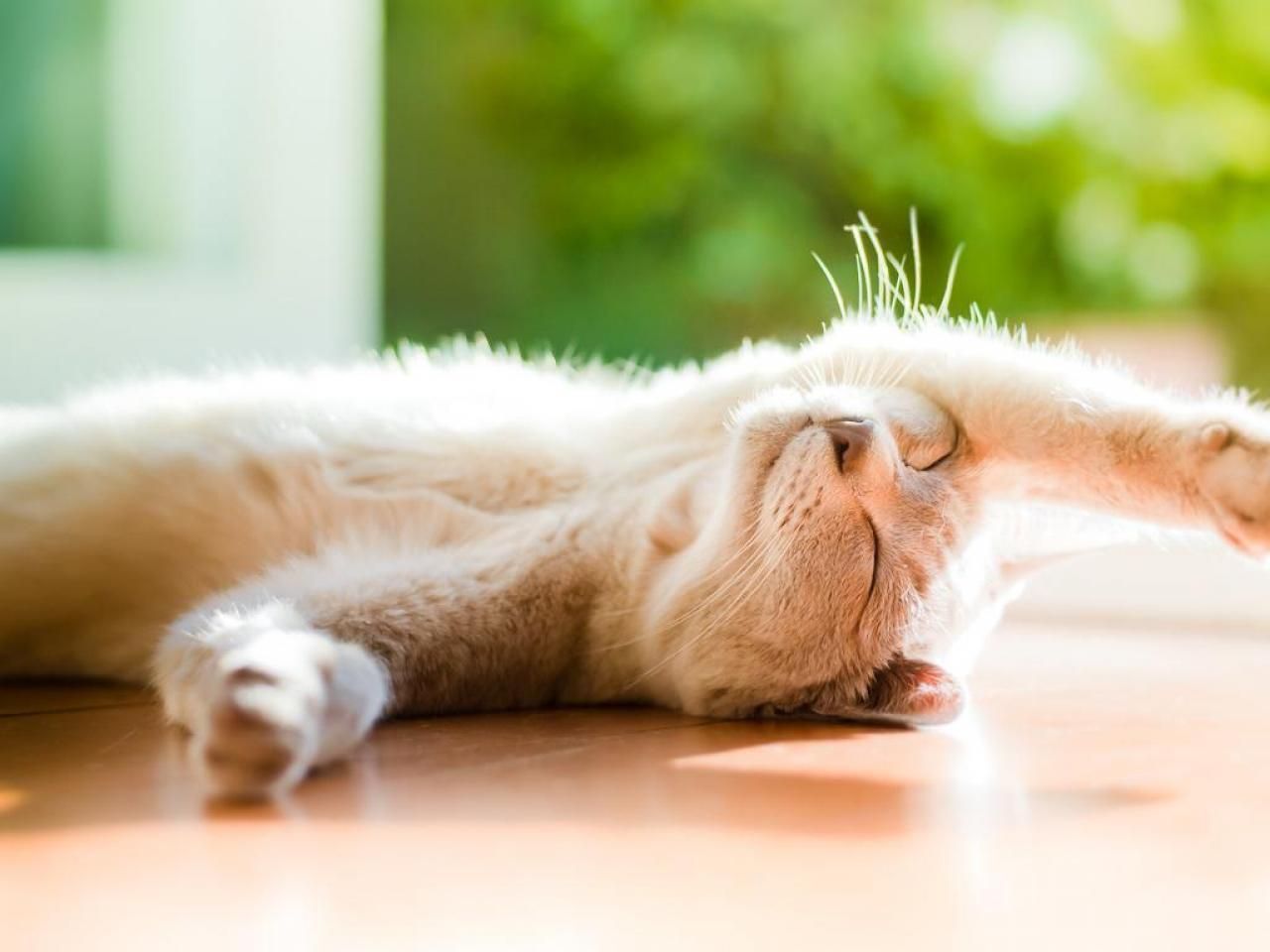 Погода 20 березня 2020 Україна – що обіцяють синоптики Погода 20 березня 2020 Україна – що обіцяють синоптики