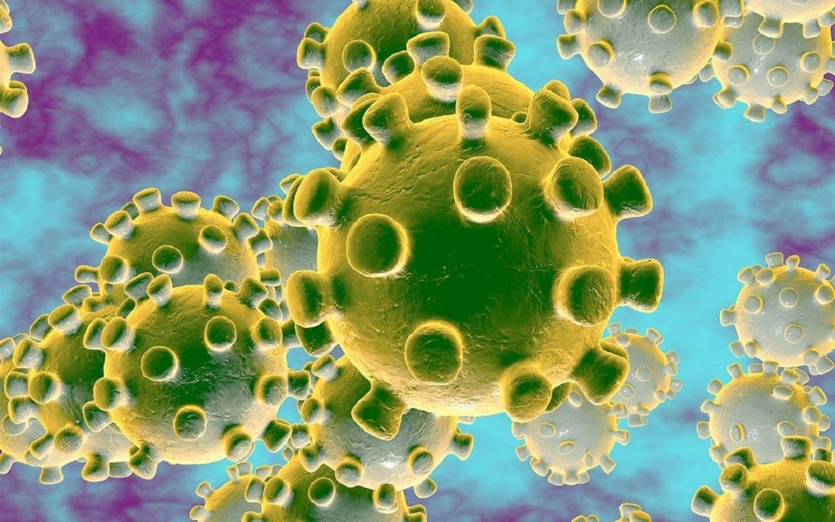 В Украине разработали тест-системы для диагностики коронавируса