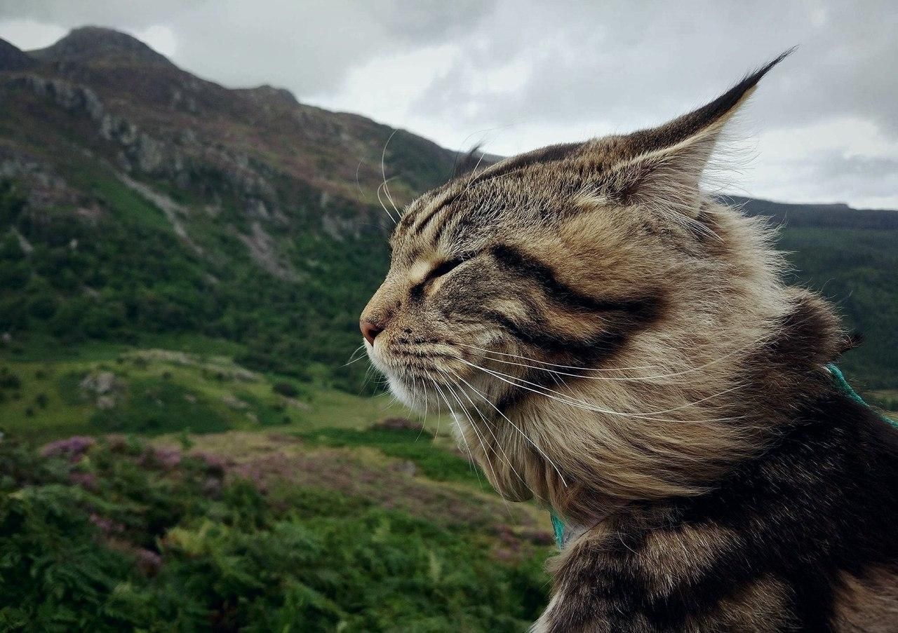 Погода 23 марта 2020 Украина – что обещают синоптики Погода 23 марта 2020 Украина – что обещают синоптики