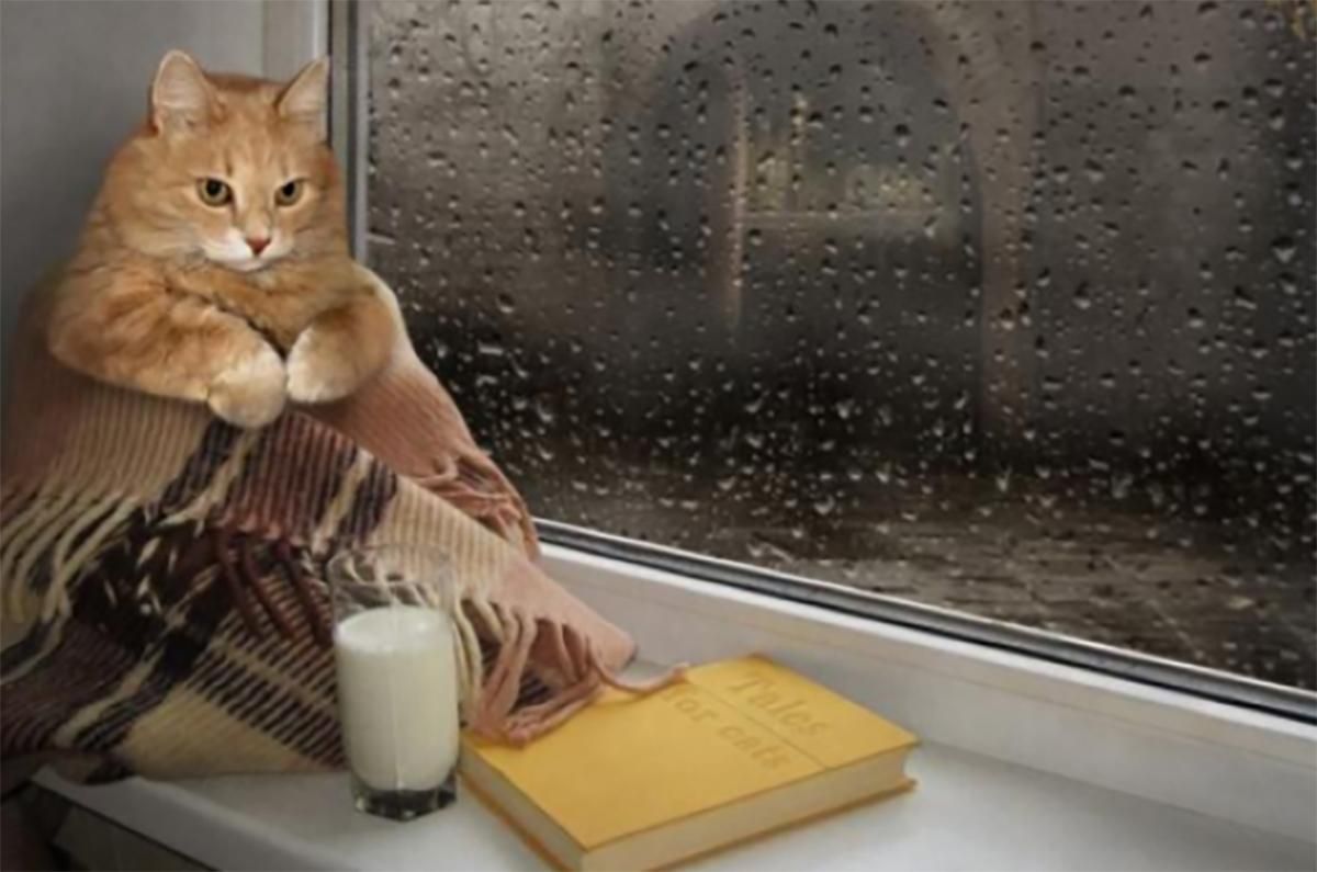 Погода 21 марта 2020 Украина – что обещают синоптики Погода 21 марта 2020 Украина – что обещают синоптики