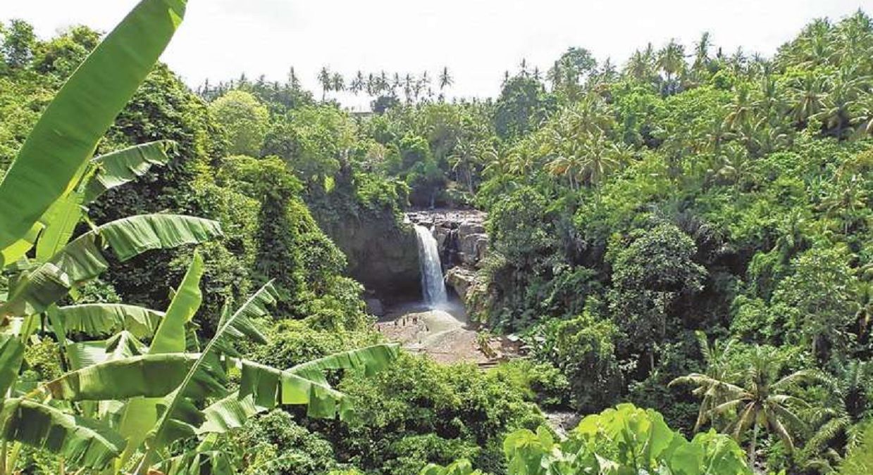 Сотні українців застрягли на Балі: яка ситуація зараз Сотні українців застрягли на Балі: яка ситуація зараз