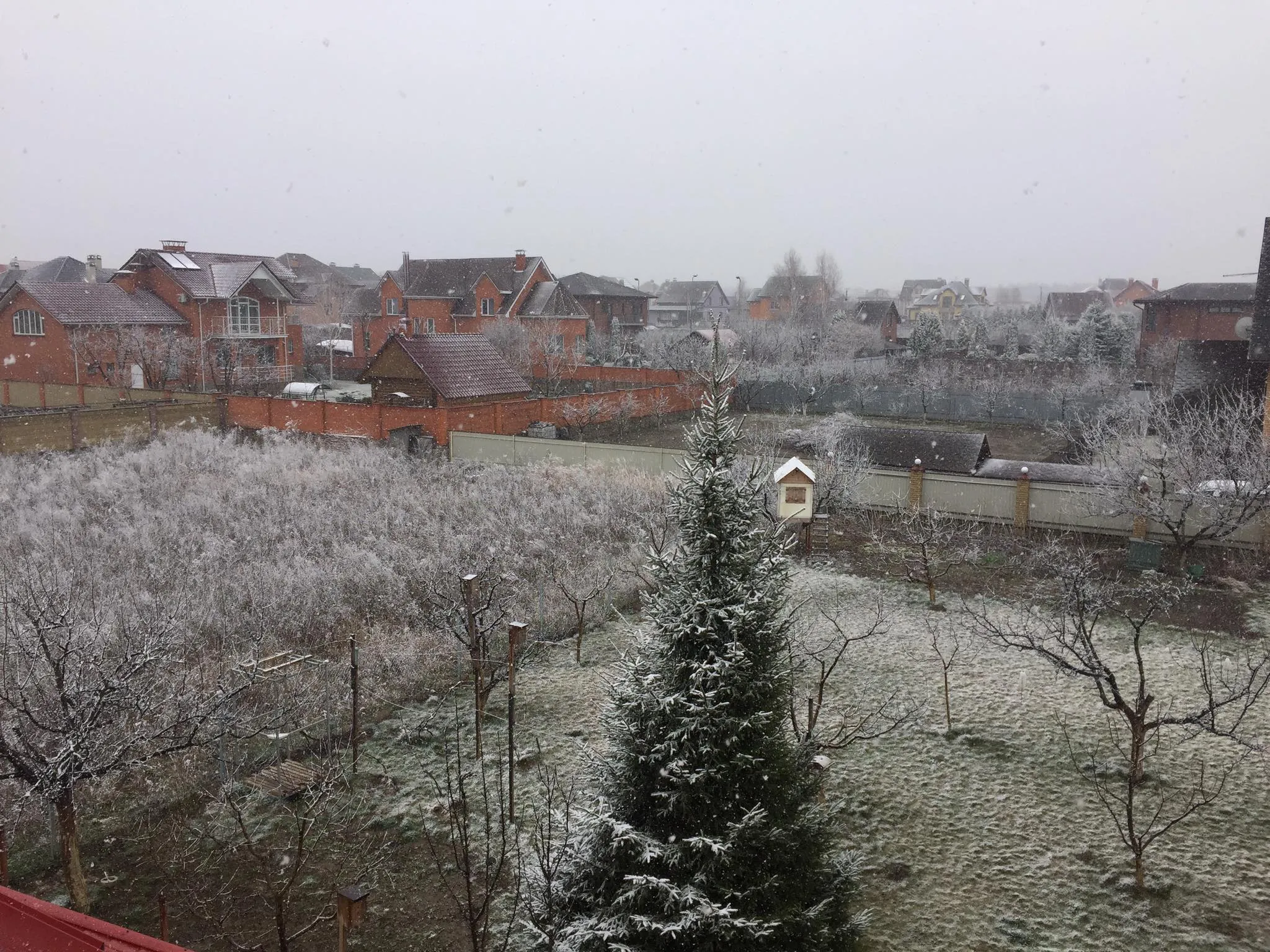 Сніг Київ