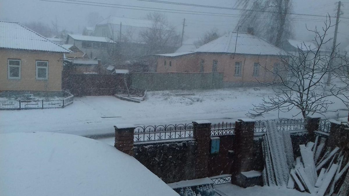 Киев и ряд областей Украины засыпало снегом: фото, видео