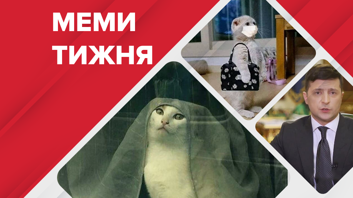 Найсмішніші меми тижня: жахливі реалії карантину та хто вбив Еріку Найсмішніші меми тижня: жахливі реалії карантину та хто вбив Еріку