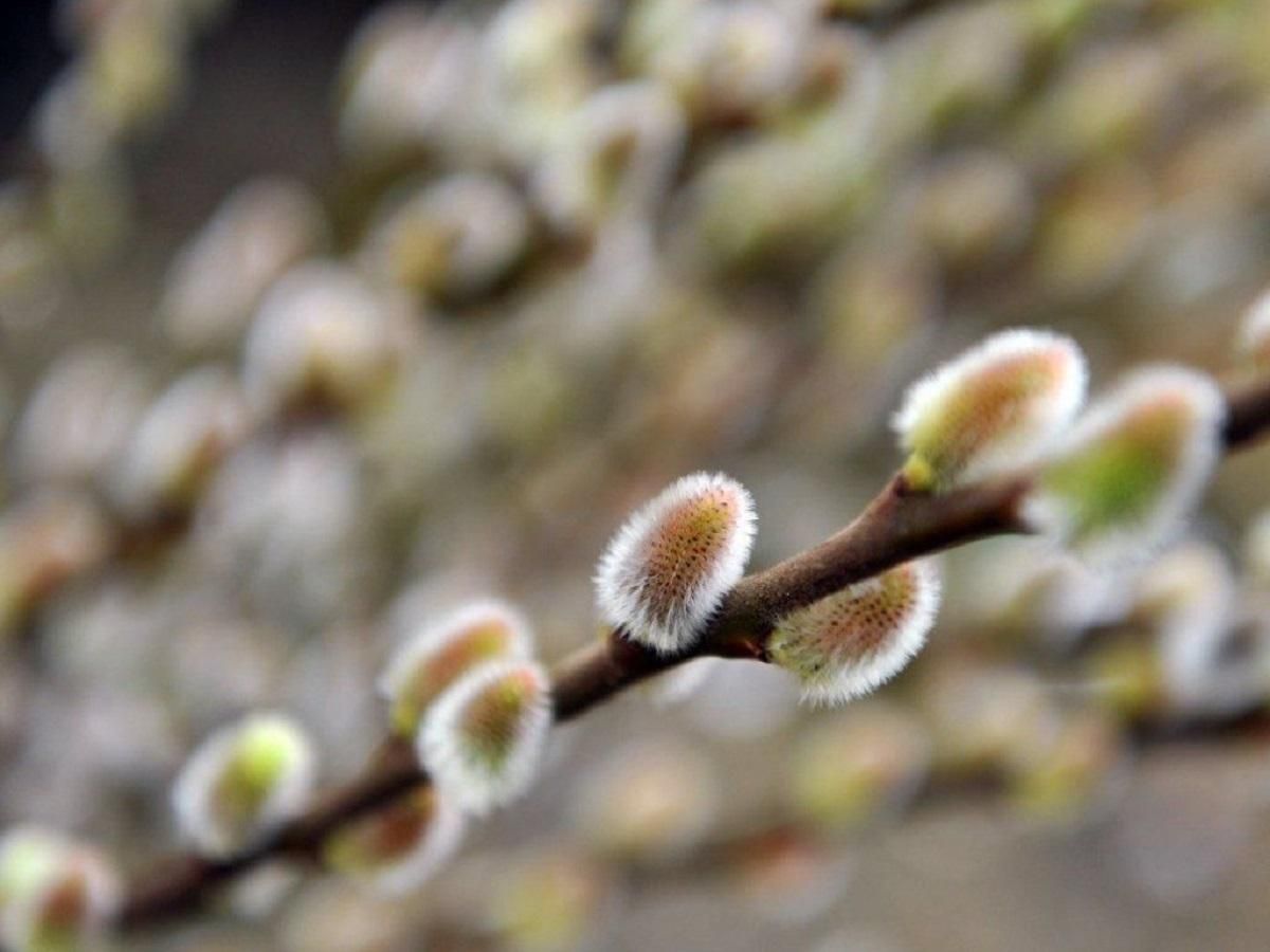 Погода 27 березня 2020 Україна – що обіцяють синоптики Погода 27 березня 2020 Україна – що обіцяють синоптики