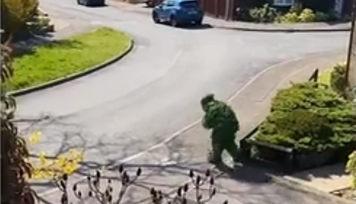 Британец надевал костюм куста, чтобы гулять по улице в карантин: смешное видео Британец надевал костюм куста, чтобы гулять по улице в карантин: смешное видео