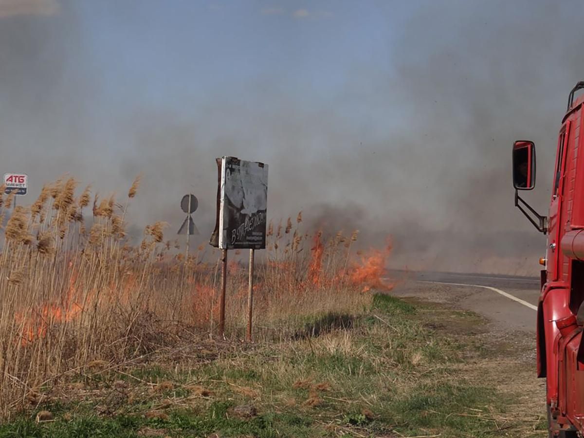 Тварини у небезпеці: на Одещині горить національний природний парк – фото Тварини у небезпеці: на Одещині горить національний природний парк – фото