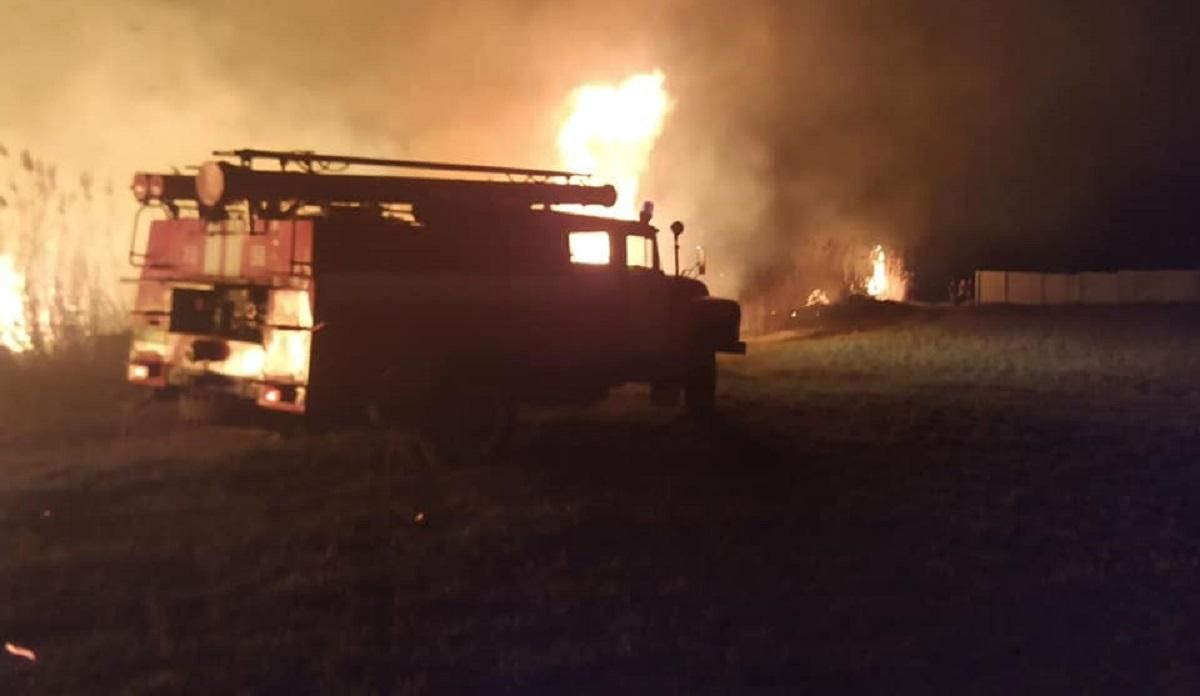 Под Киевом из-за поджога сухой травы произошел масштабный пожар: фото Под Киевом из-за поджога сухой травы произошел масштабный пожар: фото