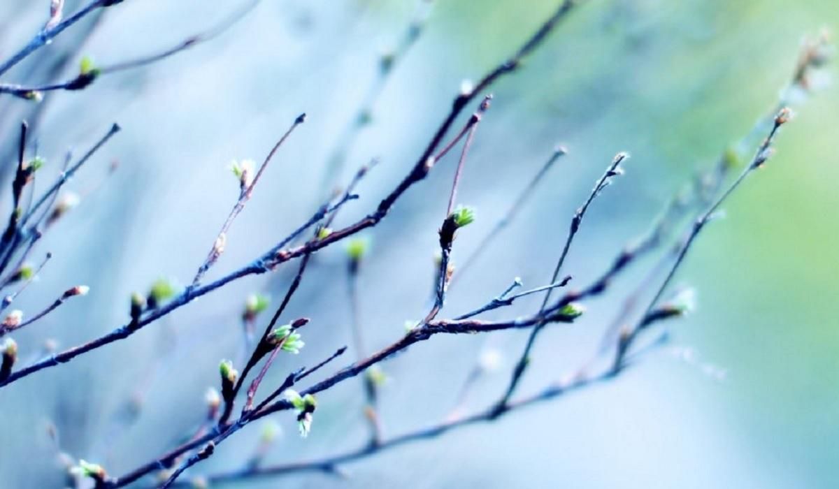 Погода 3 апреля 2020 Украина – что обещают синоптики Погода 3 апреля 2020 Украина – что обещают синоптики