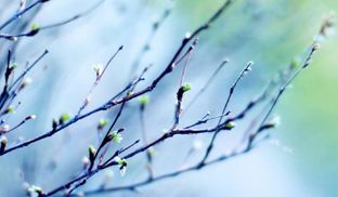 Прогноз погоды на 3 апреля: в Украине будет тепло, на западе вечером – небольшой дождь