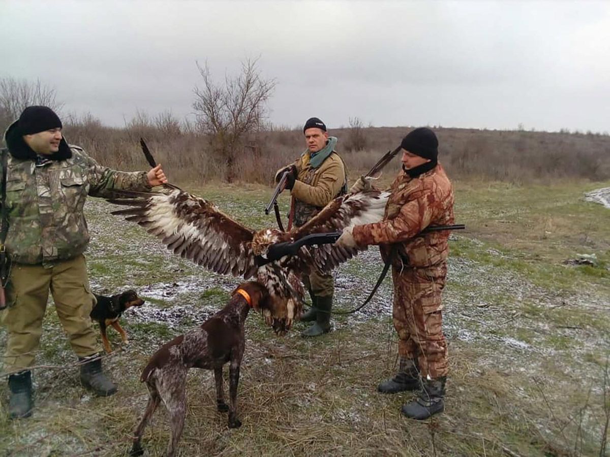 Силовики похизувались вбивством червонокнижного птаха біля Одеси: фото