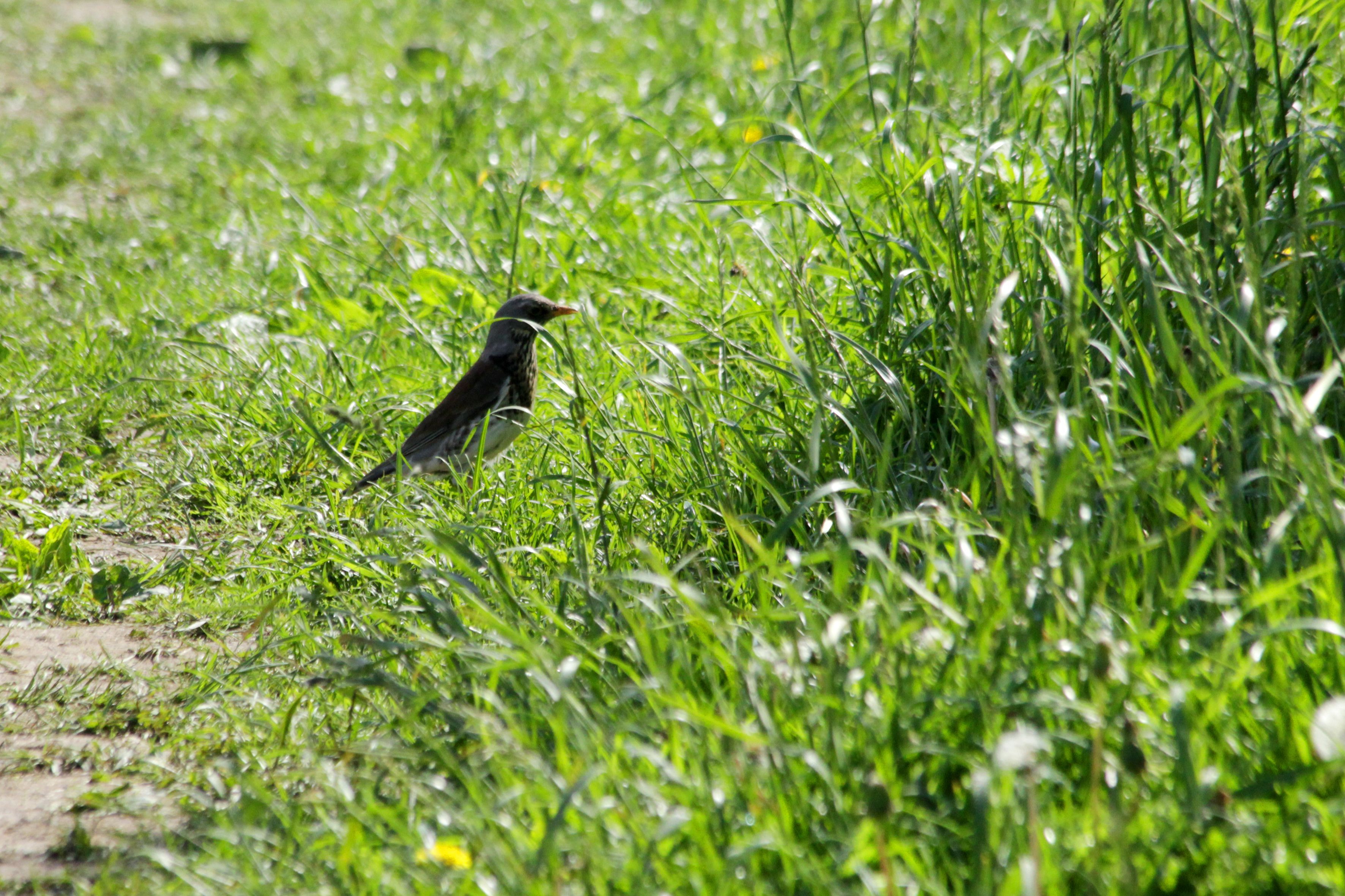 Погода 6 апреля 2020 Украина – что обещают синоптики Погода 6 апреля 2020 Украина – что обещают синоптики