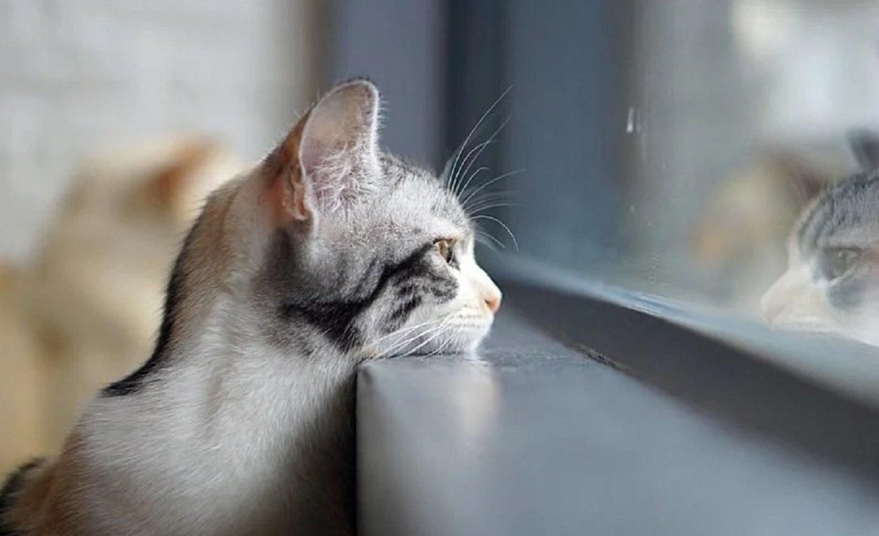 Погода 4 квітня 2020 Україна – що обіцяють синоптики Погода 4 квітня 2020 Україна – що обіцяють синоптики