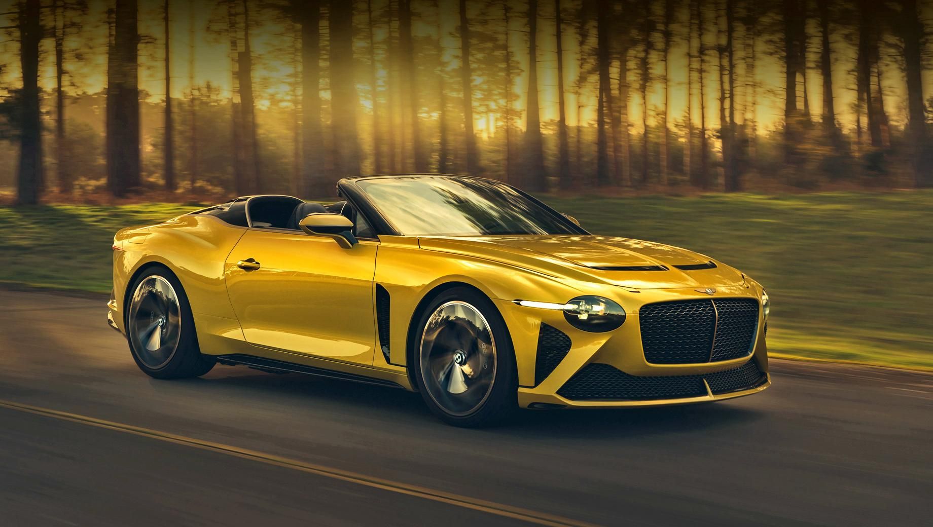 Bentley выпустил люксовый родстер с диким характером и бешеным ценником: фото Bentley выпустил люксовый родстер с диким характером и бешеным ценником: фото