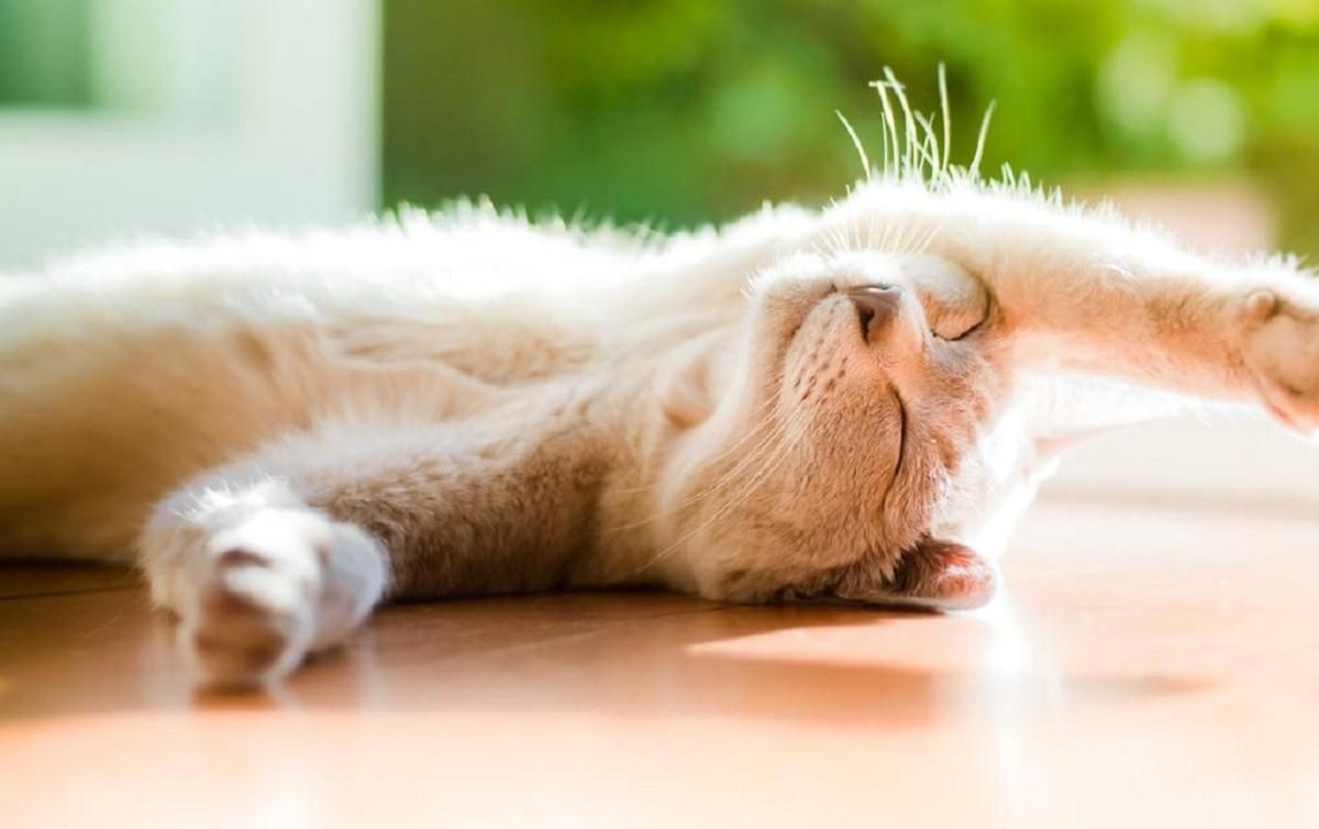 Погода 7 квітня 2020 Україна – що обіцяють синоптики Погода 7 квітня 2020 Україна – що обіцяють синоптики