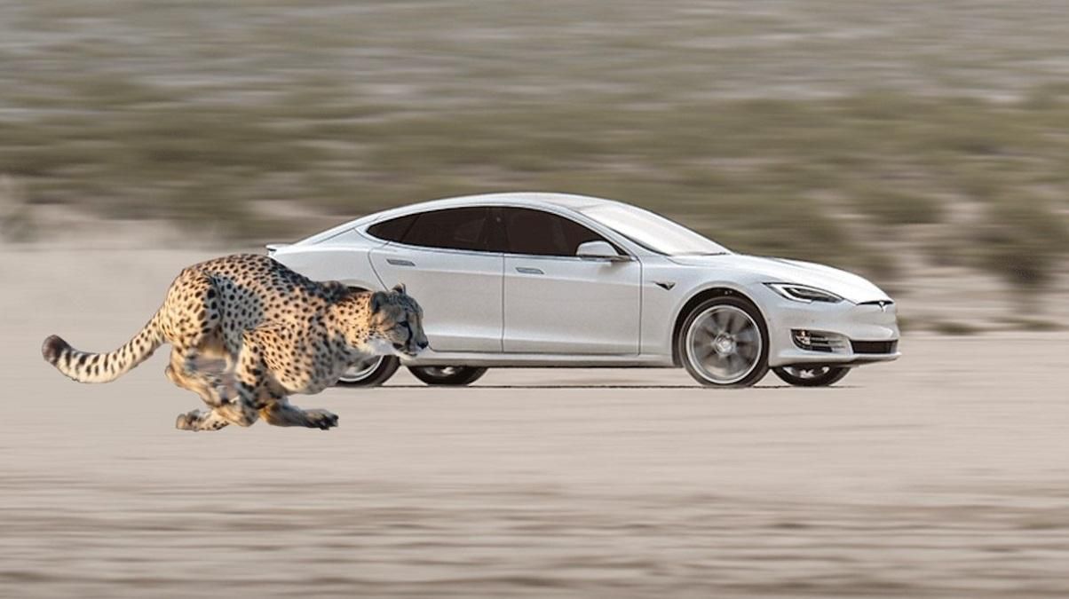 Електромобілі Tesla стартуватимуть з місця ще швидше Електромобілі Tesla стартуватимуть з місця ще швидше