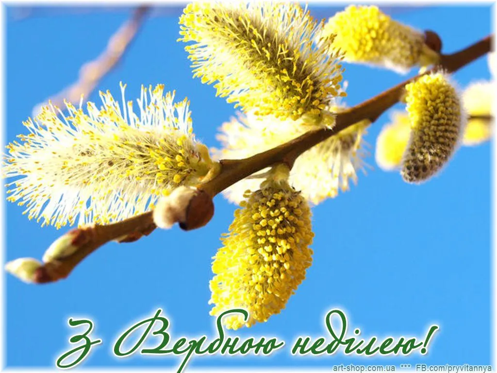 Картинки з Вербною неділею Картинки з Вербною неділею