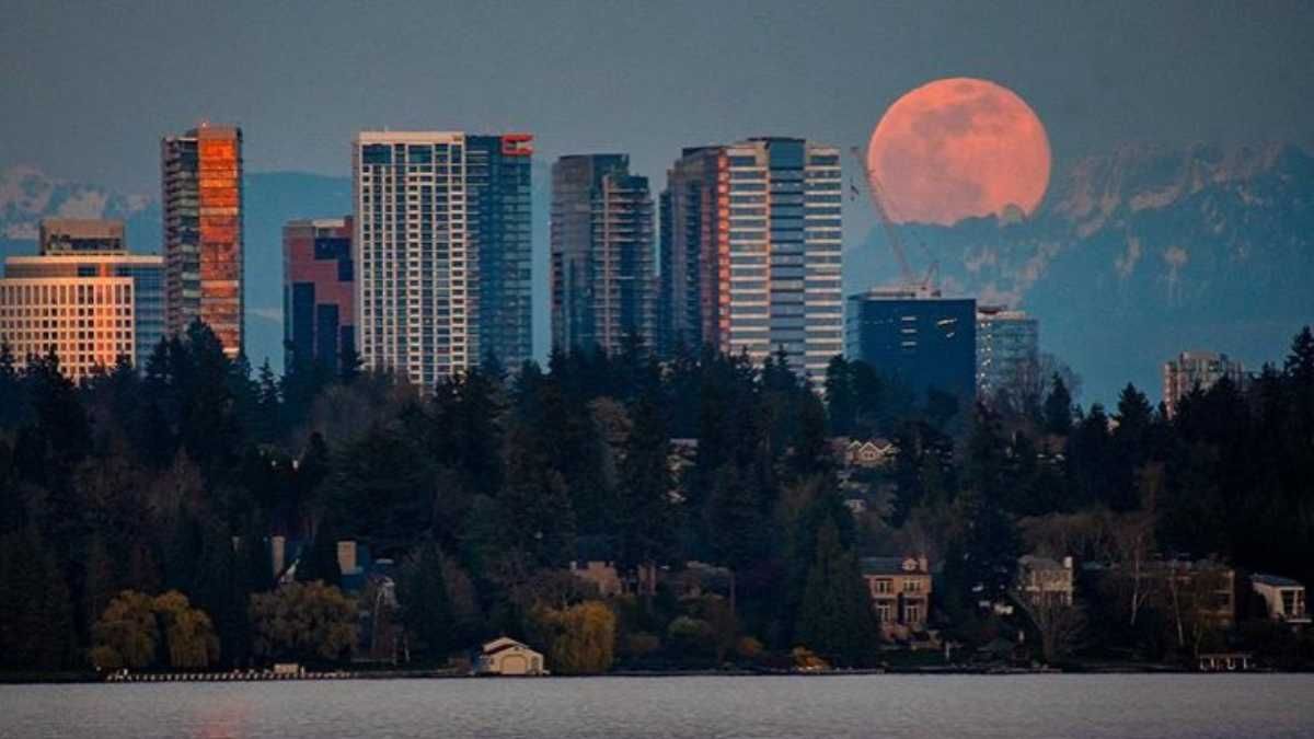 Розовая Луна 2020, Украина и мир – фото, видео суперлуны Розовая Луна 2020, Украина и мир – фото, видео суперлуны