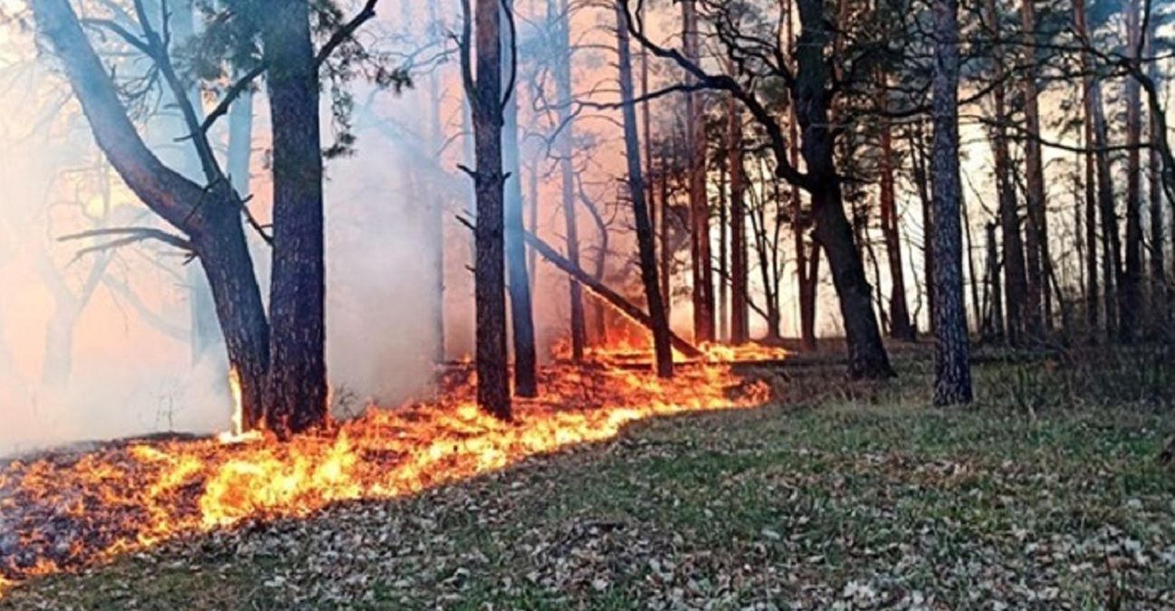 Пожары в Украине: предупреждение ДСНС