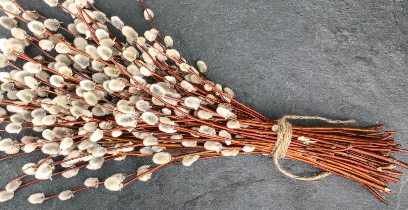 Вербна неділя 2020 в Україні на карантині – як буде проходити свято Вербна неділя 2020 в Україні на карантині – як буде проходити свято