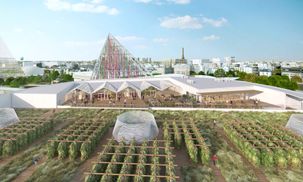 На даху виставкового центру відкриють найбільшу міську ферму в світі: де та коли?