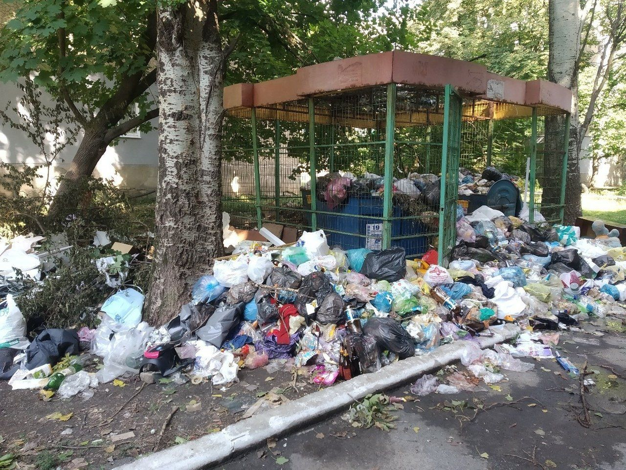 Жизнь в "освобожденном" Харцызске: горы мусора, а виновных нет
