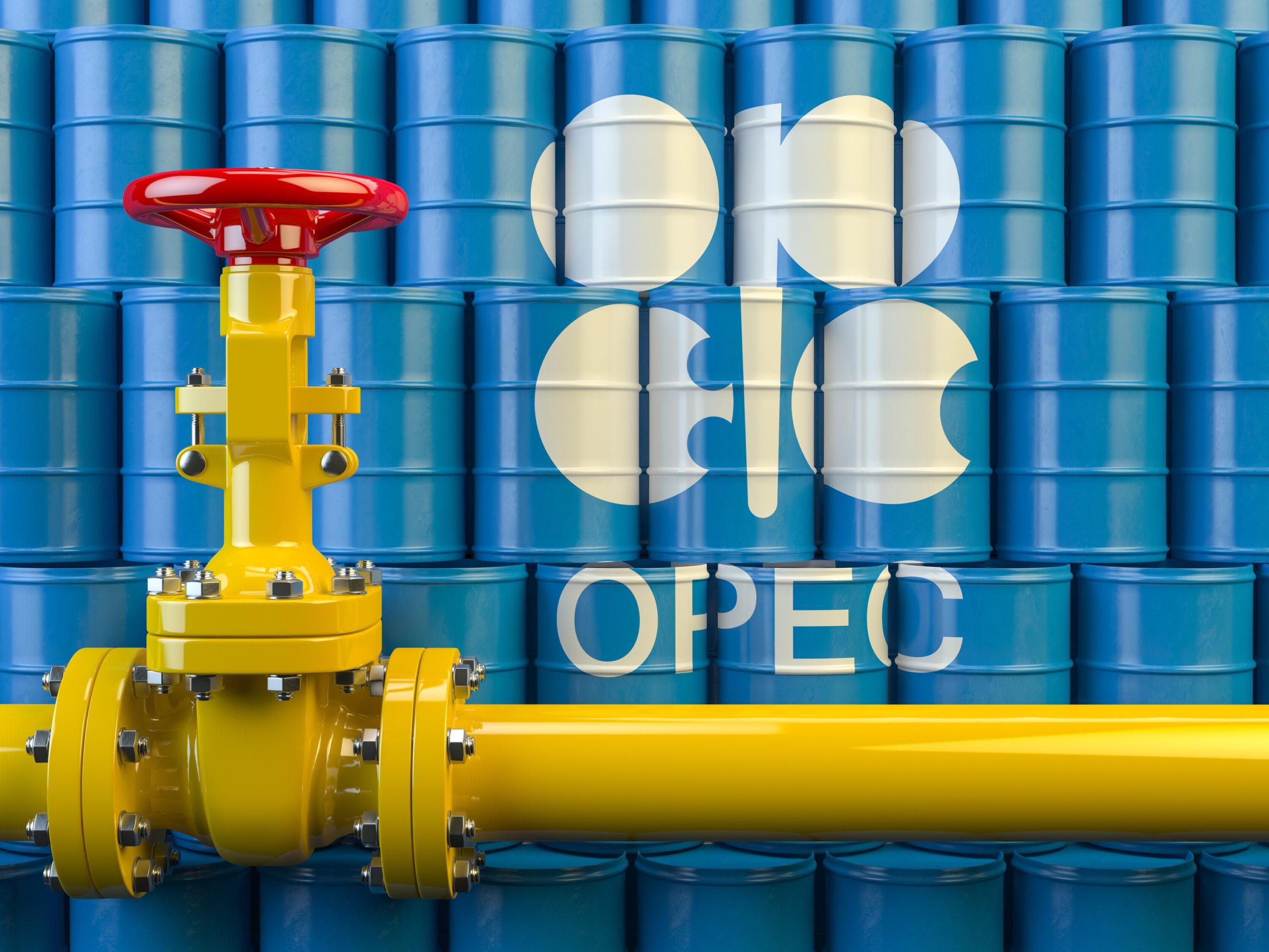 Организация стран-экспортеров нефти