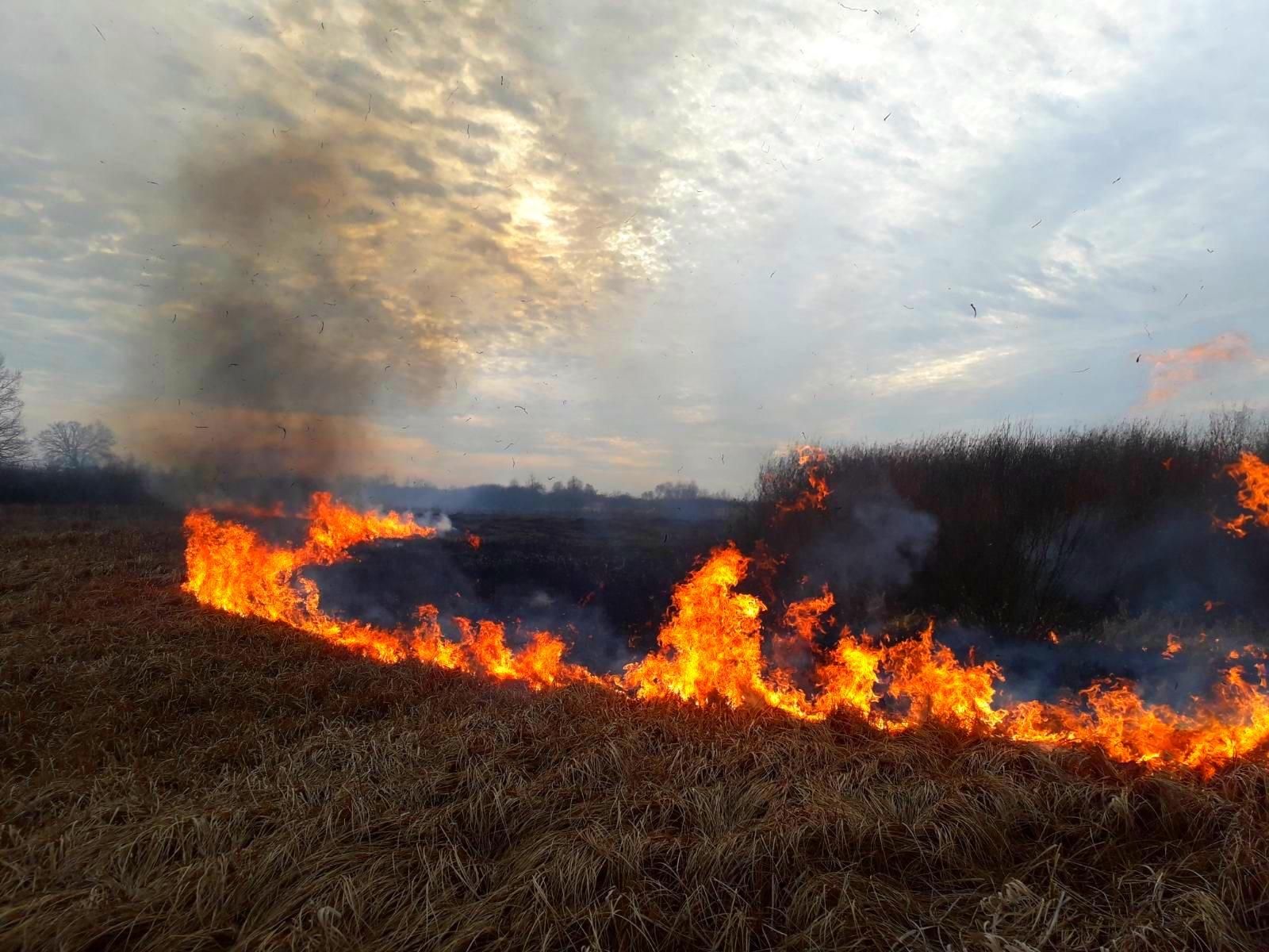 Результати вашого "байдуже" було видно з супутників: Зеленський засудив людей за підпал трави