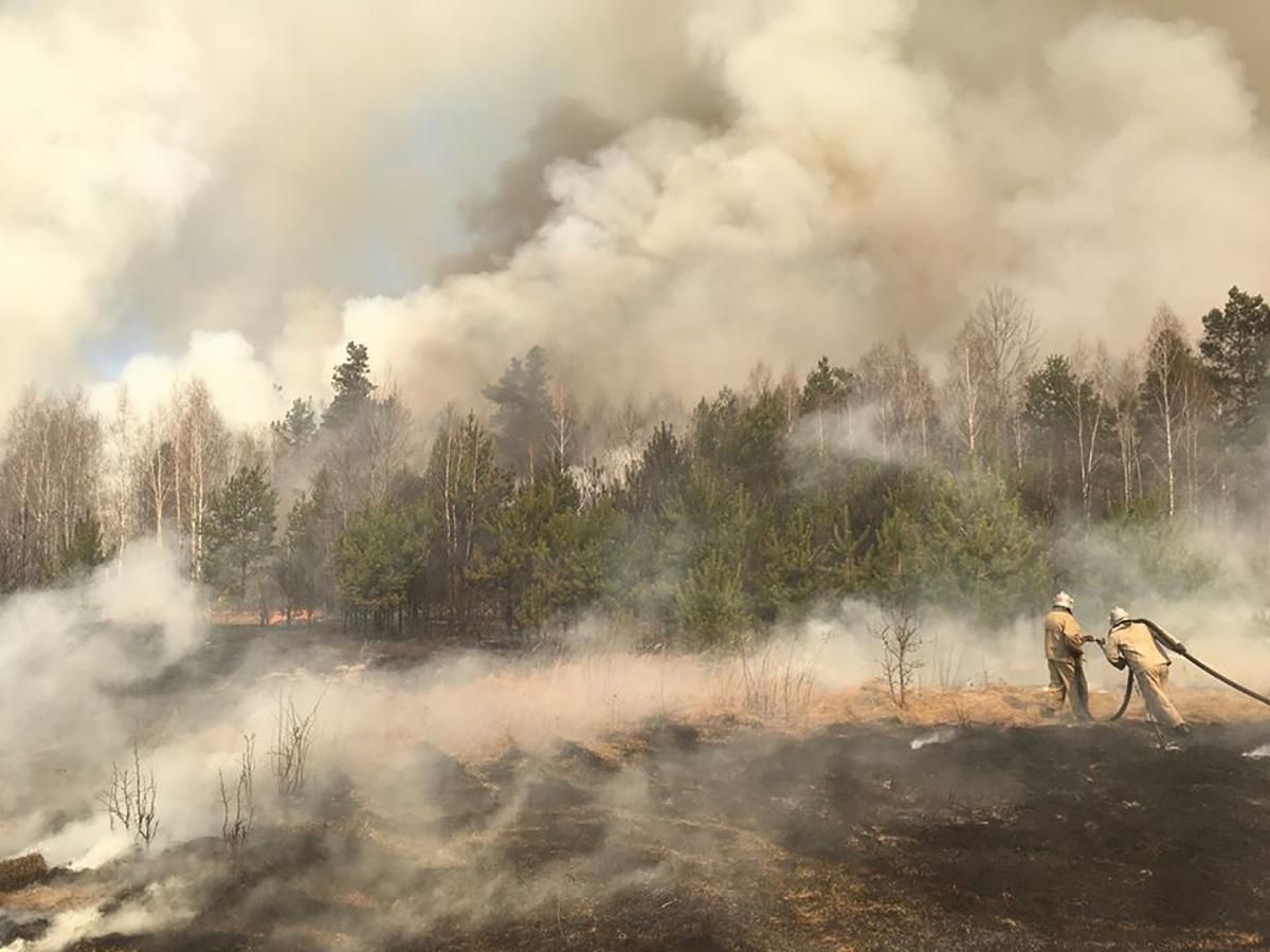 На Житомирщині затримали чоловіків, які спричинили масштабні пожежі в області