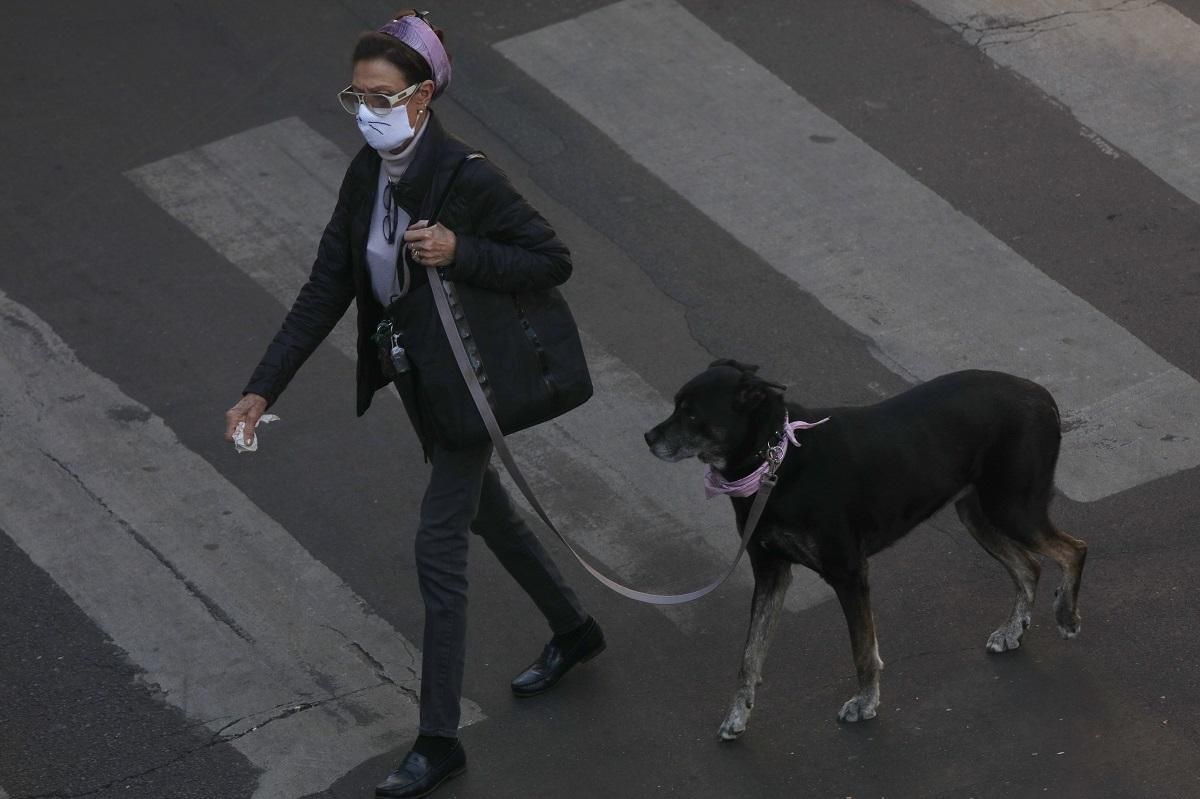 Французи можуть покинути карантин, аби взяти тварину з притулку Французи можуть покинути карантин, аби взяти тварину з притулку