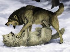 Зрада та перемога опозиції, Або Олігарх олігарху – вовк