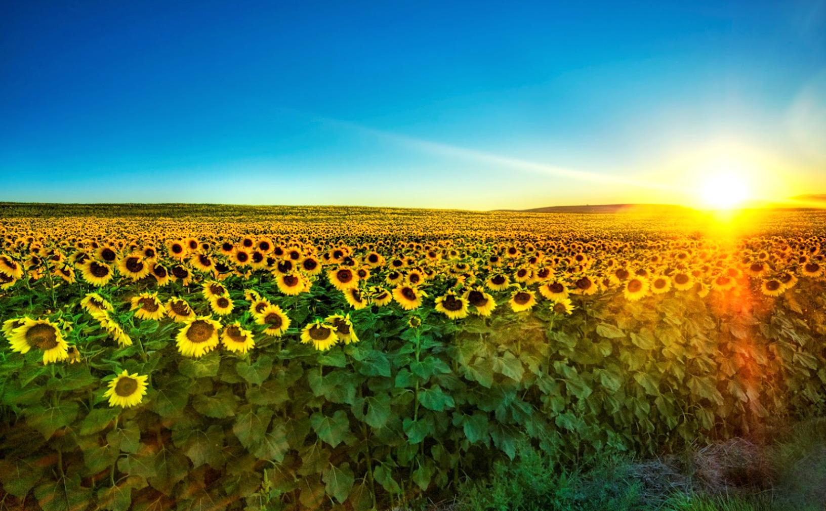 Украина – страна разрушающих компромиссов
