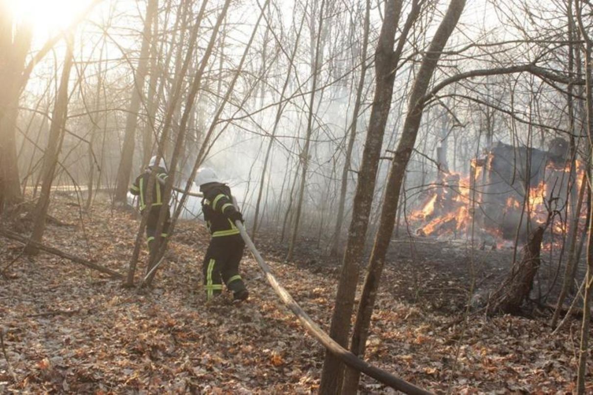 Уряд виділив гроші на гасіння масштабних пожеж у Чорнобильській зоні
