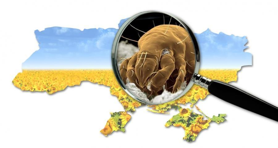 Паразитический класс в Украине – причина кризисных моментов