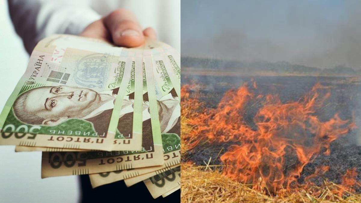 Принятие антикризисного бюджета, штрафы за поджог травы – Гуд найт Юкрейн Принятие антикризисного бюджета, штрафы за поджог травы – Гуд найт Юкрейн