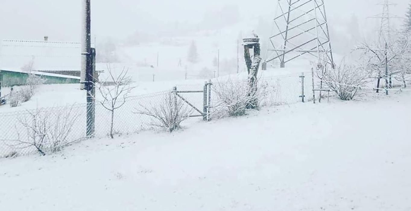 Сніг у Карпатах 14 квітня 2020 - фото, відео снігу в Україні